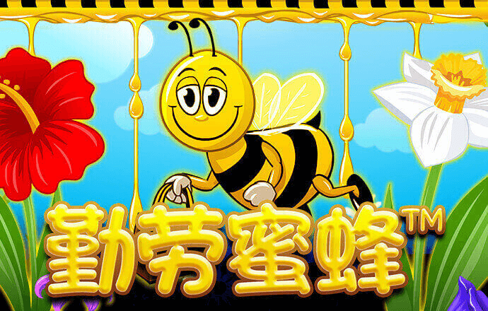 博喜体育开户